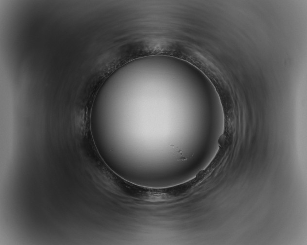 X0000093530605200710121600