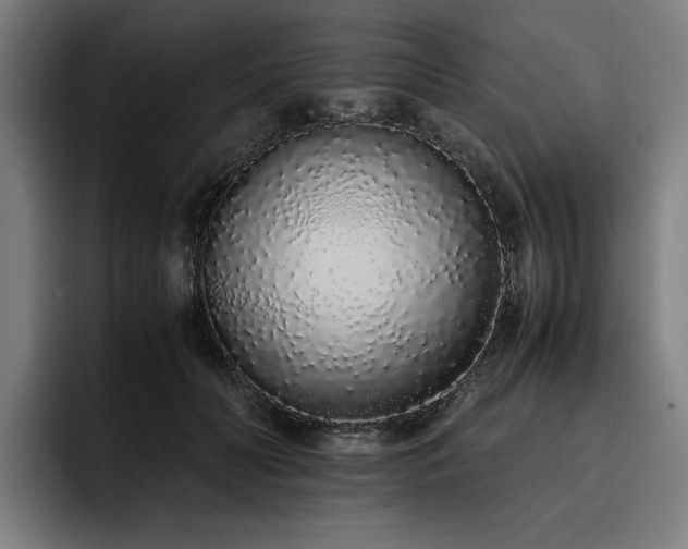 X0000093530606200710121600
