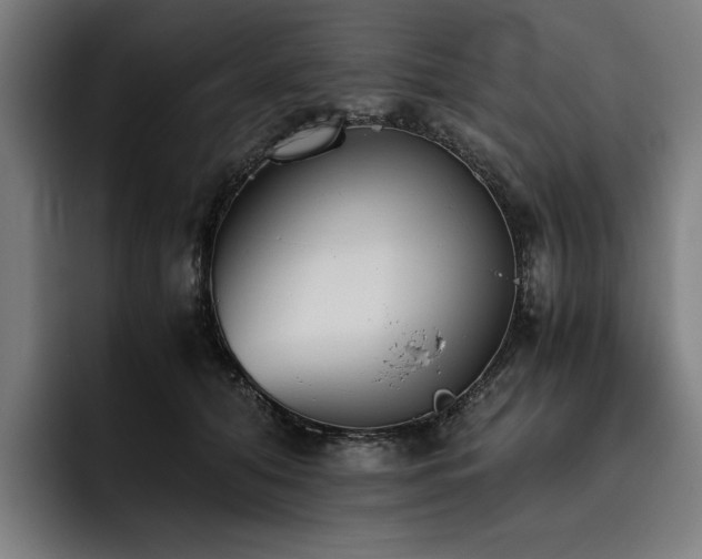 X0000093530608200710121600