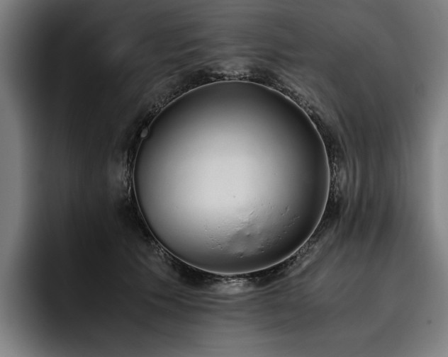 X0000093530609200710121600
