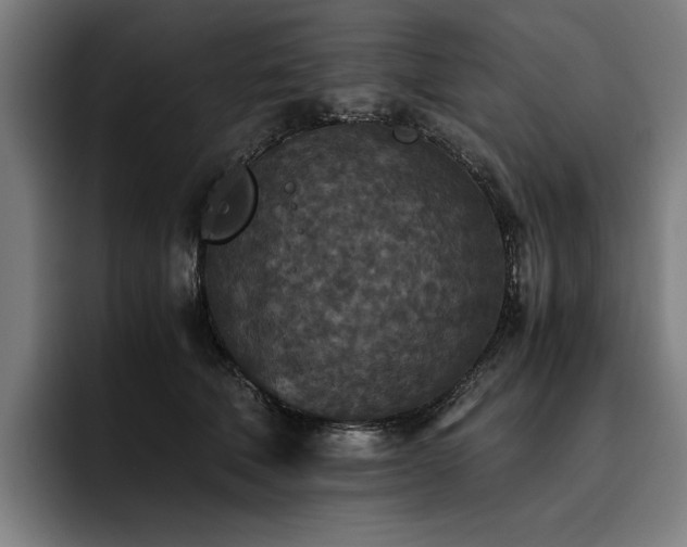 X0000093530610200710121600