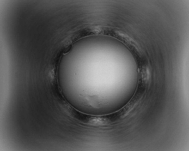 X0000093530611200710121600