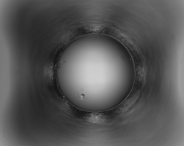 X0000093530612200710121600