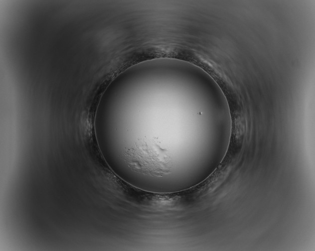 X0000093530613200710121600