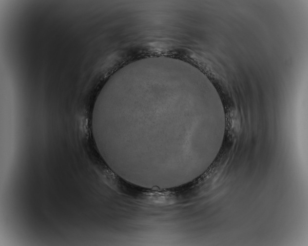 X0000093530615200710121600