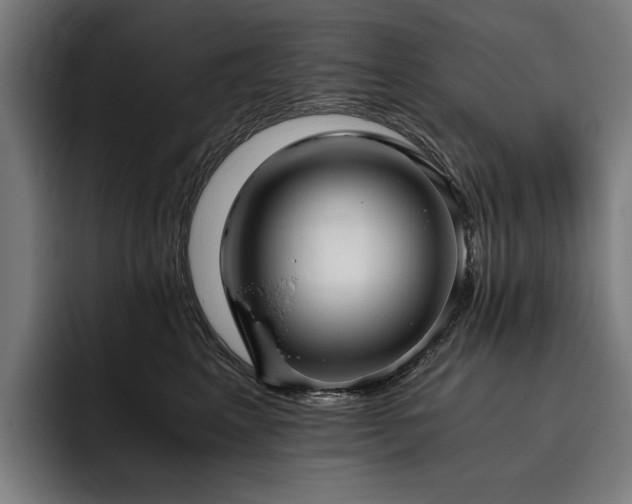X0000093530617200710121600
