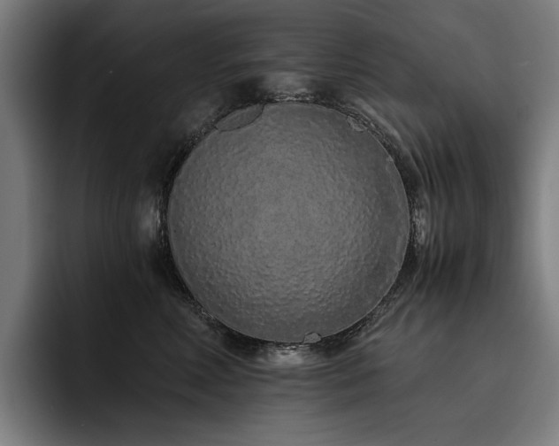 X0000093530618200710121600