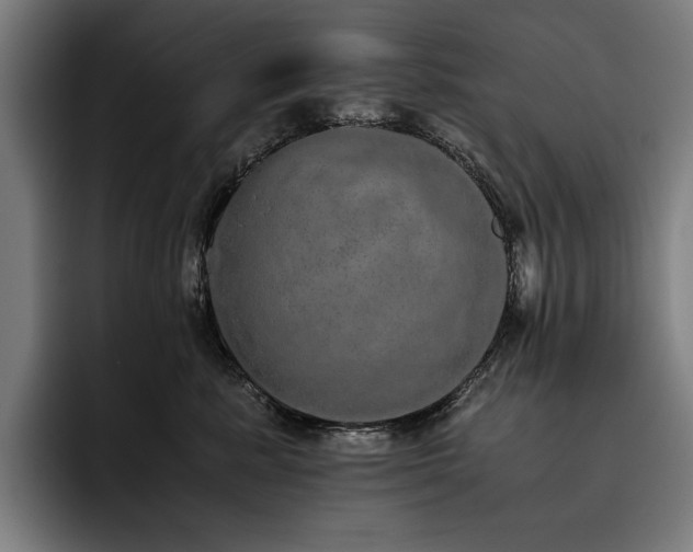 X0000093530619200710121600