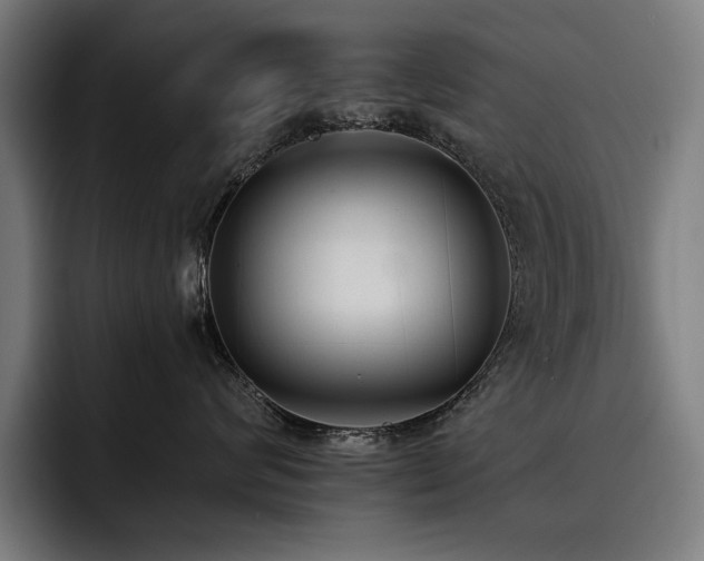 X0000093530624200710121600