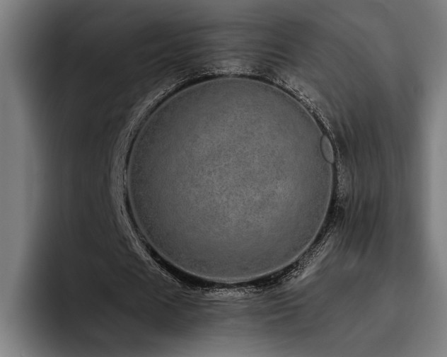 X0000093530625200710121600