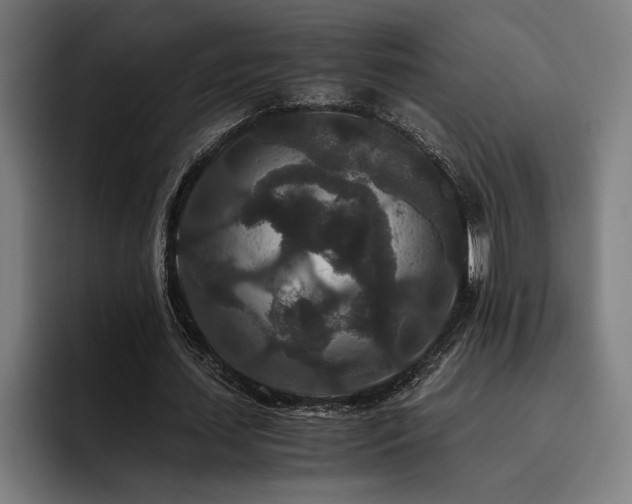 X0000093530627200710121600