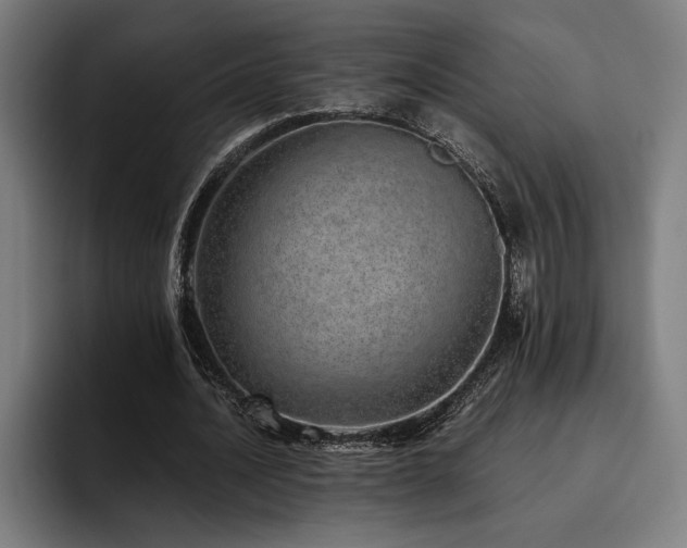X0000093530628200710121600