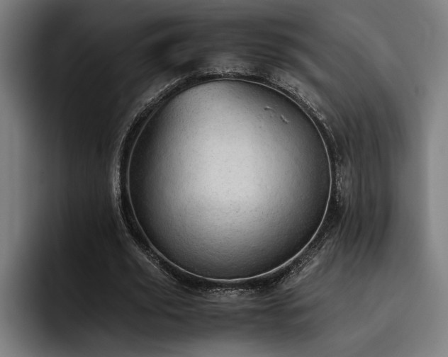 X0000093530629200710121600