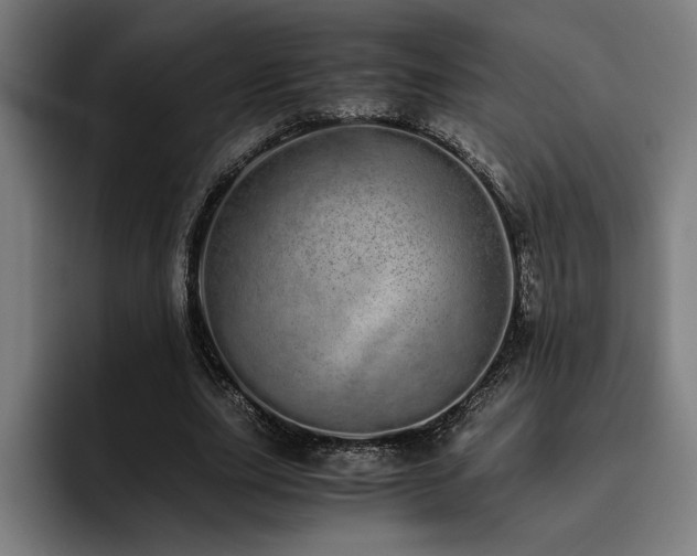 X0000093530631200710121600
