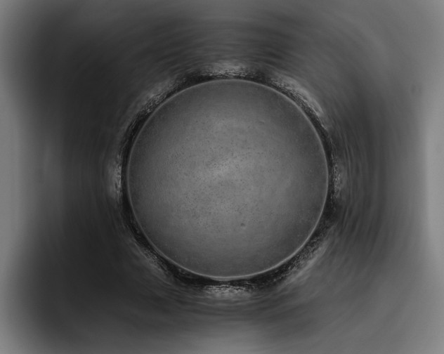 X0000093530633200710121600