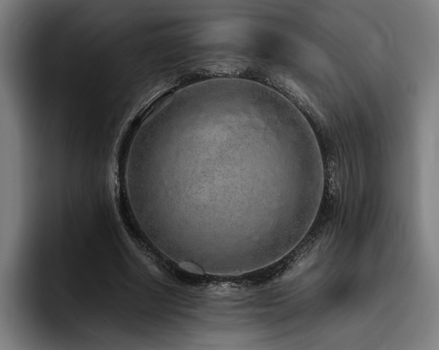 X0000093530634200710121600