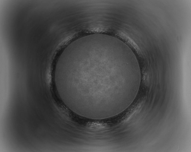 X0000093530635200710121600