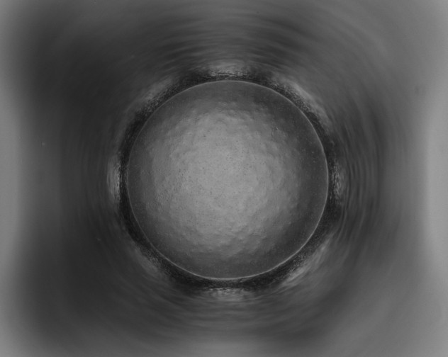 X0000093530637200710121600