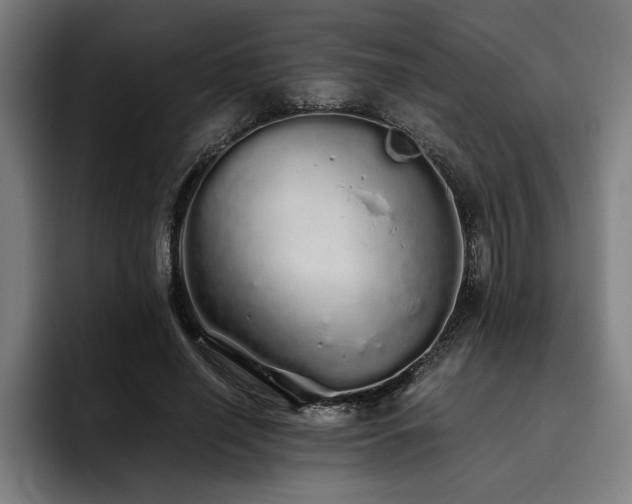 X0000093530638200710121600