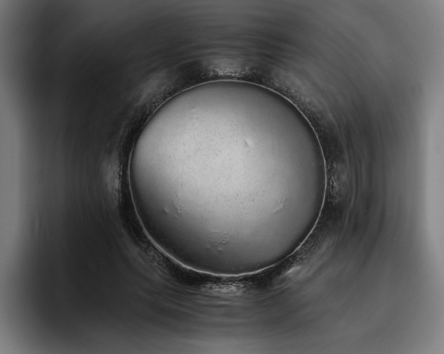 X0000093530639200710121600