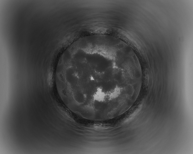 X0000093530641200710121600