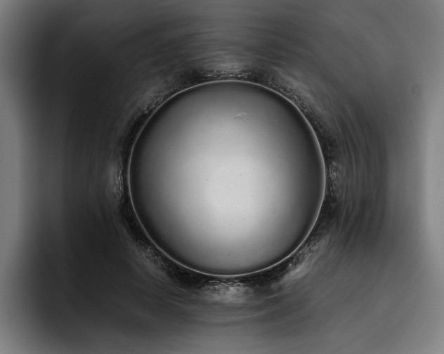 X0000093530642200710121600