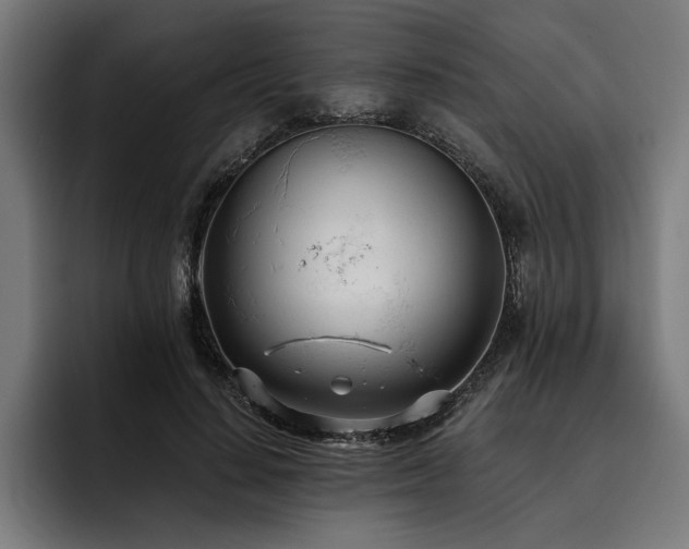 X0000093530644200710121600