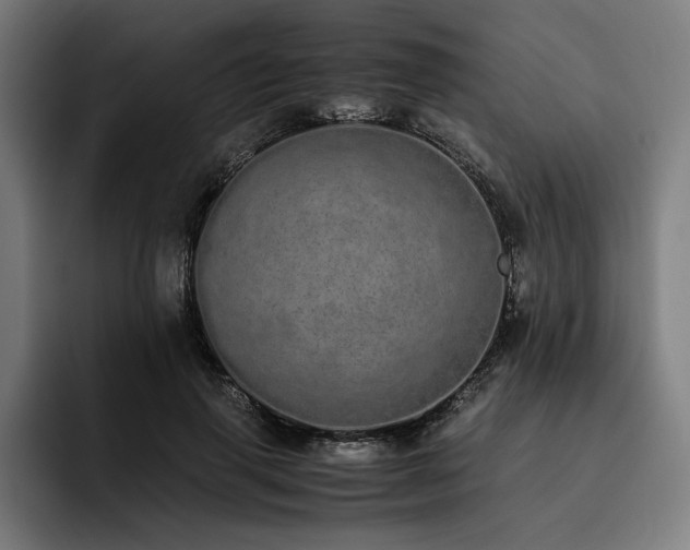 X0000093530645200710121600