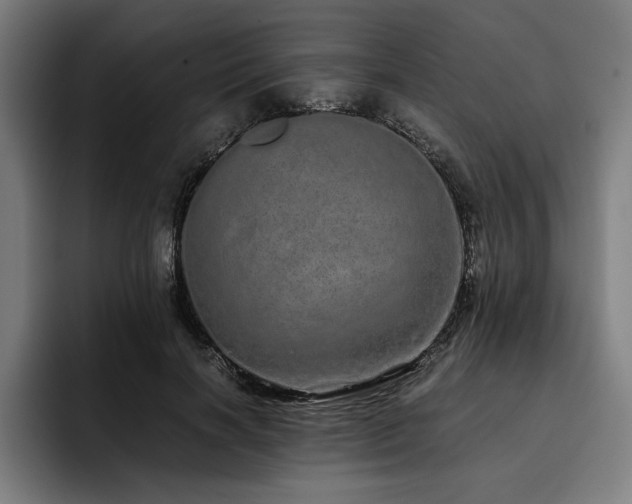 X0000093530646200710121600