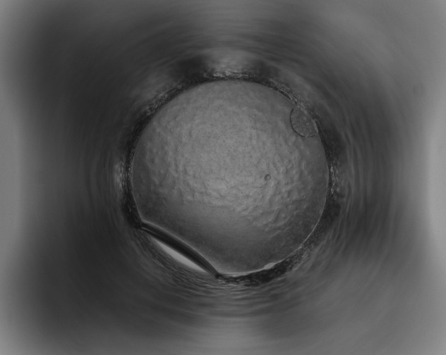 X0000093530648200710121600