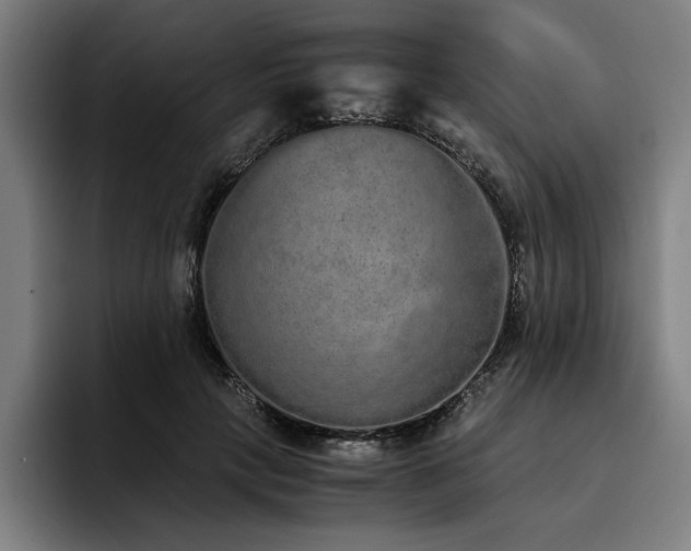 X0000093530649200710121600
