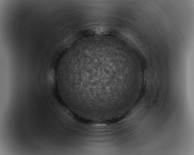 X0000093530650200710121600