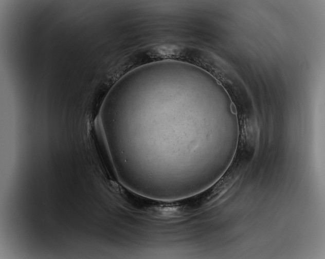 X0000093530651200710121600