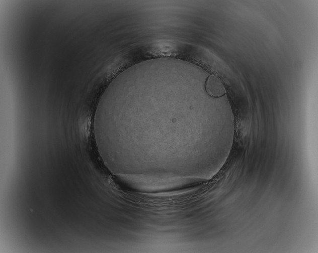 X0000093530652200710121600