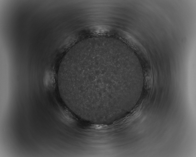 X0000093530654200710121600