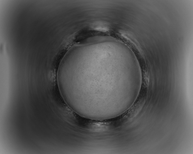 X0000093530657200710121600