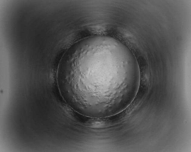 X0000093530658200710121600