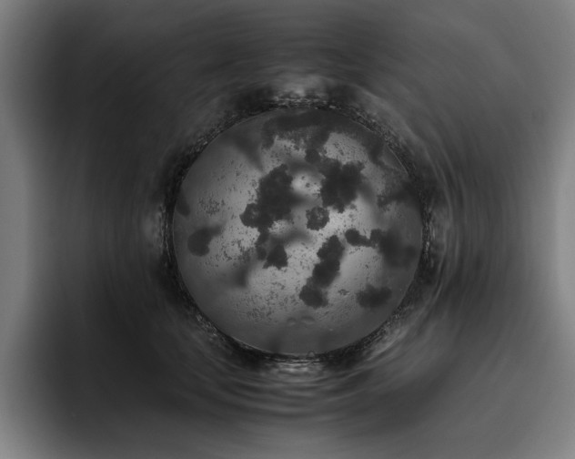 X0000093530659200710121600