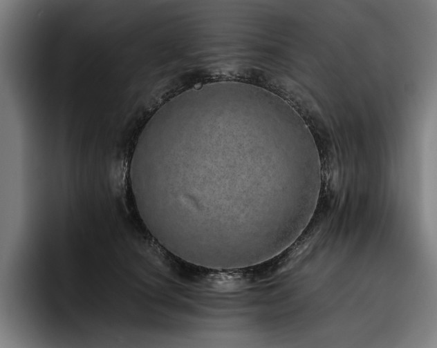 X0000093530660200710121600