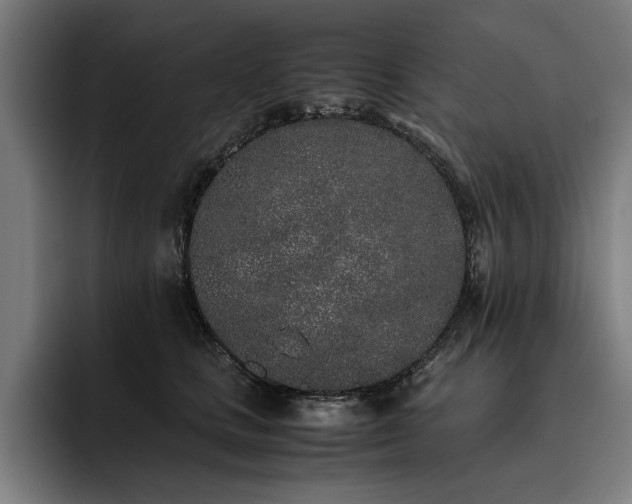 X0000093530661200710121600