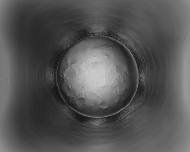 X0000093530662200710121600