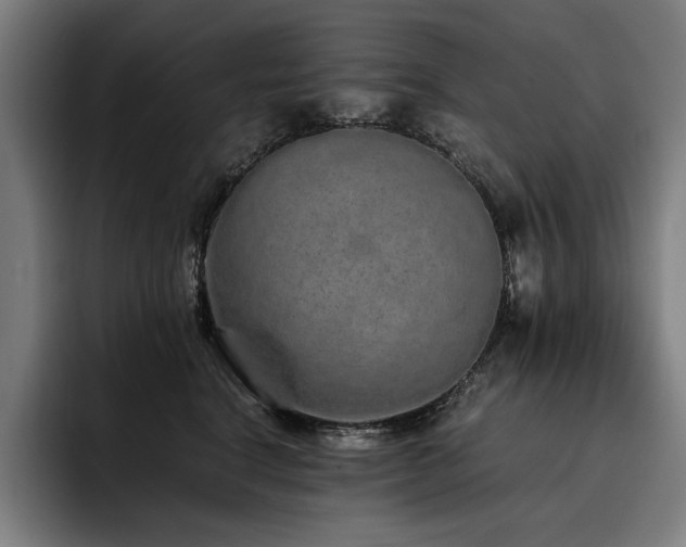 X0000093530664200710121600