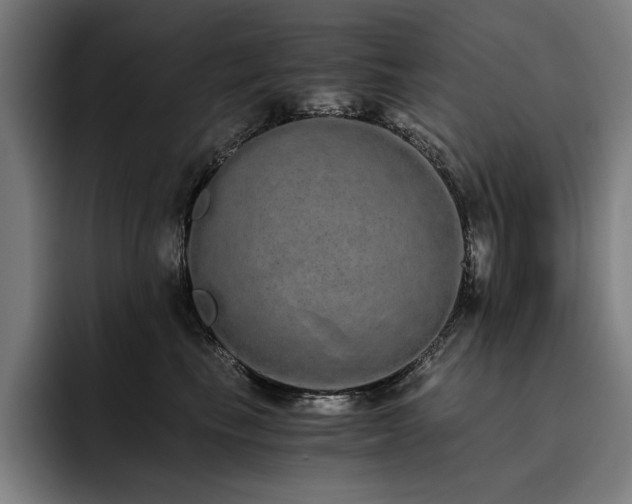 X0000093530665200710121600