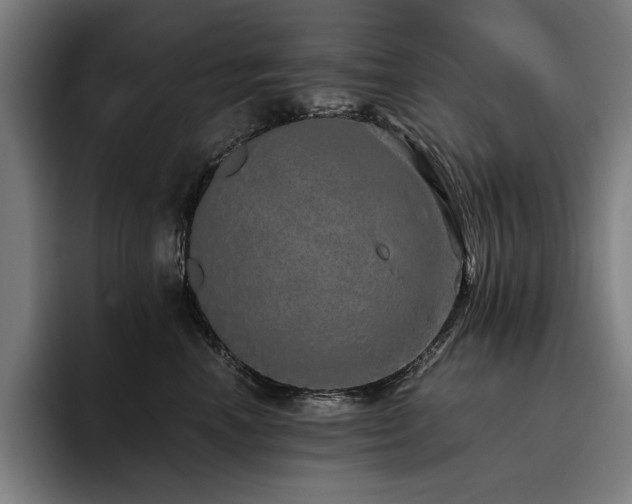 X0000093530666200710121600