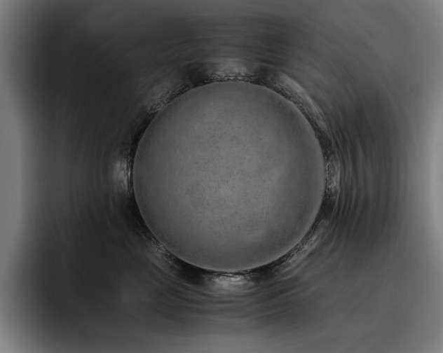 X0000093530669200710121600