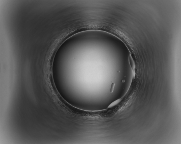 X0000093530673200710121600