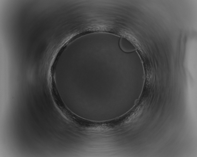 X0000093530674200710121600