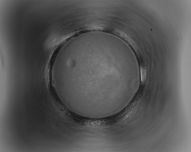 X0000093530675200710121600