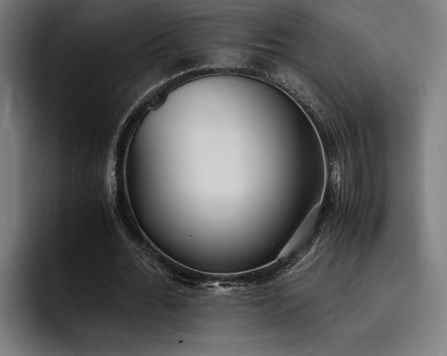 X0000093530676200710121600