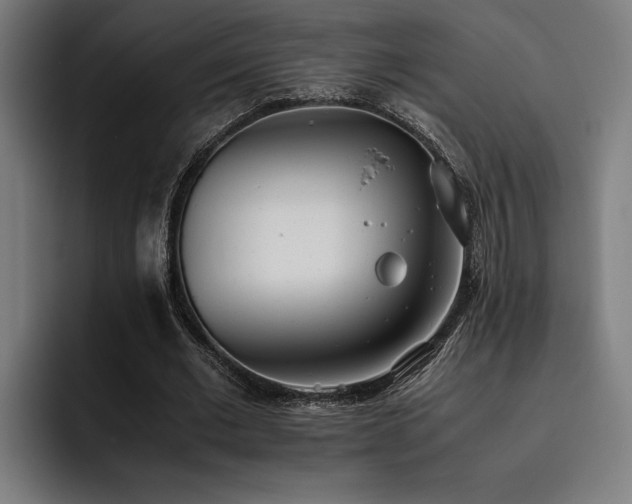 X0000093530677200710121600